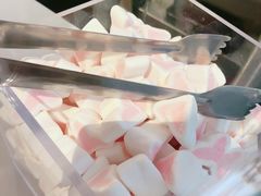-狐狸和向日葵(北京路店)