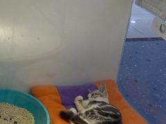 -龟与熊猫宠物公园(南坪店)