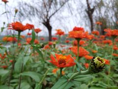 -艾溪湖湿地公园