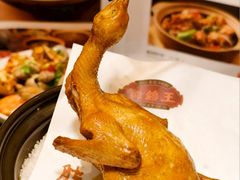 -朱记乳鸽王·非遗石岐乳鸽·全鸽宴(大兴旗舰店)