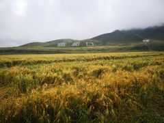 -扁都口生态休闲旅游区