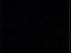 -霸王虾·麻辣小龙虾(清水河公园店)