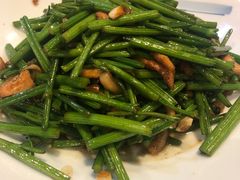 -食家鸽园