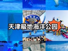 -海合安天津极地海洋公园