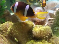 -太平洋海底世界