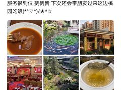 -桃园盛宴·岭南粤菜·手工茶点(南庄店)