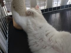 -白衬衫照相馆(五彩店)