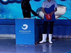 -石家庄海洋公园