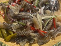 -陶缘一号·四季缘·老字号顺德菜·户外婚礼家宴(西滘店)