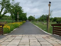 -长田漾湿地公园