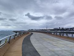 -演武大桥观景平台