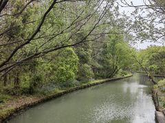 -同里国家湿地公园