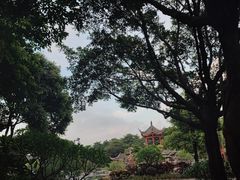 -顺峰山公园