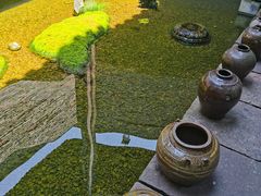 -几荷·恰似故人来(秀水广场店)