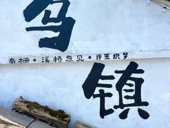 -乌镇西栅景区