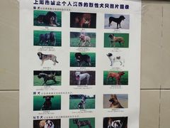 -申普宠物医院·眼科·心内科·影像科(普陀分院)
