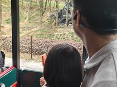-杭州野生动物世界