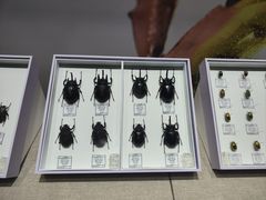 -烟台市博物馆