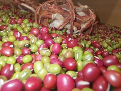 -炖物24章·顺时轻养茶(杭州保利时光里店)