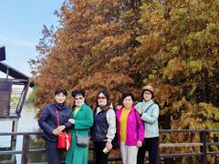 -溱湖国家湿地公园