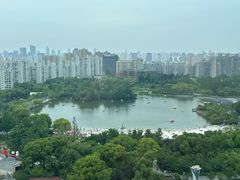 -上海宝华万豪酒店