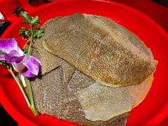 -二荆条·蜀鲜汇城市森林火锅