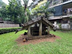 -越南民族学博物馆