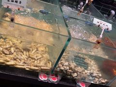 -黄山老妈·土菜(碧桂园店)