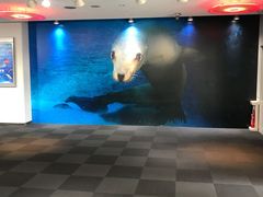 景点-大阪海游馆
