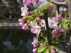 -元大都城垣遗址公园