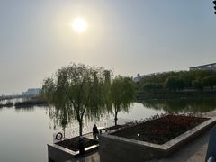 -合肥滨湖国家森林公园