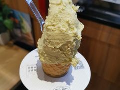 -野人先生现做冰淇淋(北京顺义祥云小镇店)