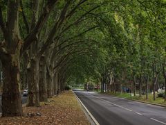 -河南省黄河迎宾馆