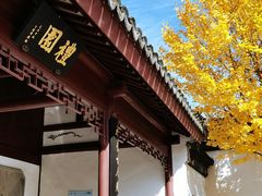-召稼楼古镇