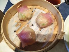 -点都德·毕德寮