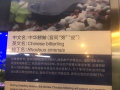 -上海海洋水族馆