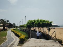 -碧海金沙