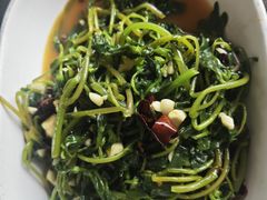 -一撮毛美食城(全力一路店)