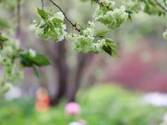 -江南大学(蠡湖校区)