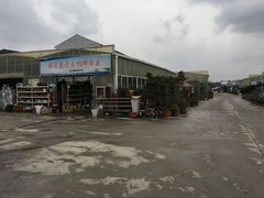 -龙大花卉苗木市场