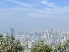 -南山植物园