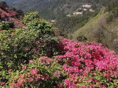 -木兰云雾山