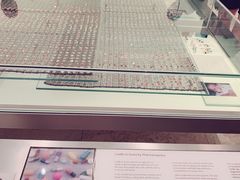 -墨尔本博物馆(Melbourne Museum)