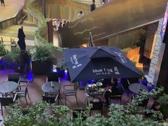 -bluefrog蓝蛙(水游城店)