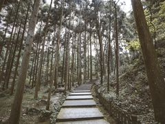 -雁荡山风景名胜区