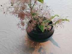 -逸品淮扬(东方渔人码头店)