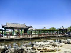 -莲花池公园