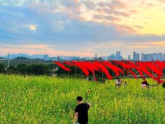 -光明小镇欢乐田园