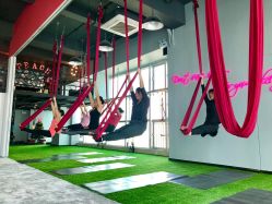 -桃秘钢管舞Peach Pole Fitness