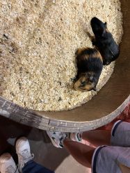 -Zoolung Zoolung动物主题公园(海信广场店)